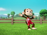 Replay Paw Patrol, la Pat'Patrouille - Que les jeux commencent !