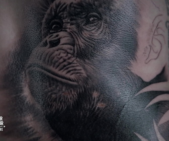 Replay Tattoo Battle : qui sera le meilleur ? - S1E10 - Episode 5 - Semaine 2