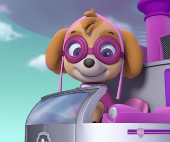 Replay Paw Patrol, la Pat'Patrouille - Skier comme un pro