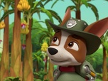 Replay Paw Patrol, la Pat'Patrouille - Travis dans la jungle