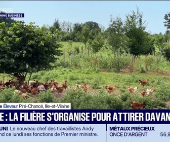 Replay Good Morning Business - Volaille : la filière s'organise pour attirer davantage
