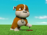 Replay Paw Patrol, la Pat'Patrouille - Mission Dino : Le ptérodactyle
