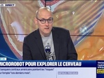 Replay Good Morning Business - Culture IA : Un microrobot pour explorer le cerveau, par Anthony Morel - 30/10