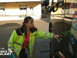Replay Les reines du volant - Episode 14