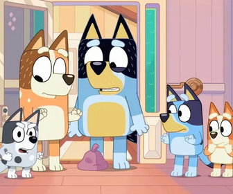 Replay Bluey - 30/11/2025