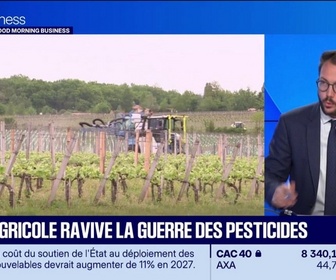 Replay Good Morning Business - La loi agricole ravive la guerre des pesticides