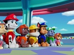 Replay Paw Patrol, la Pat'Patrouille - Des animaux très chics