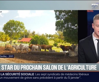 Replay BFM Première prématinale - Le break du jeudi 27 novembre