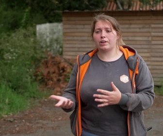 Replay Animaux à adopter - Lilipop la golden de laboratoire, Mayli la touchante setter anglaise