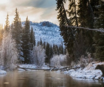 Replay Le Yukon, fleuve glacé d'Amérique