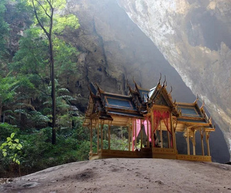 Replay Thaïlande, la beauté sauvage - Au coeur des forêts