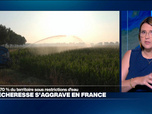 Replay Élément Terre, la quotidienne - Changement climatique: une menace pour la sécurité alimentaire