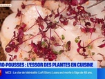 Replay Les longs formats des Locales - Micro-pousses : l'essor des plantes en cuisine