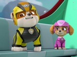 Replay Paw Patrol, la Pat'Patrouille - Le baleineau