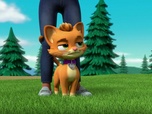 Replay Paw Patrol, la Pat'Patrouille - Super Patrouille : Puissance maximale