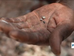 Replay Focus - Au Kenya, la découverte de gisements de coltan suscite l'espoir