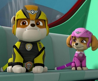 Replay Paw Patrol, la Pat'Patrouille - La tarentule des cavernes