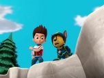 Replay Paw Patrol, la Pat'Patrouille - Un costume sur mesure
