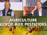 Replay DébatDoc - Agriculture : accroc aux pesticides ?