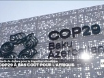 Replay Info éco - COP29 : un accord au goût amer pour les pays africains