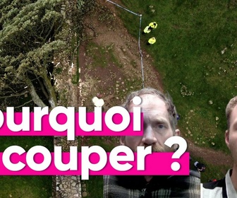 Replay Top Info - 4 ans de prison pour les 2 hommes qui ont coupé l'arbre le plus célèbre d'Angleterre