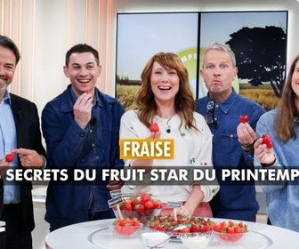 Replay VIP Very Important Paysans - Fraise : les secrets du fruit star du printemps !