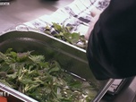 Replay Top chef - Épisode 15 - Partie 1