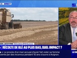 Replay Le Dej Info - Récolte de blé au plus bas, quel impact ? - 02/09