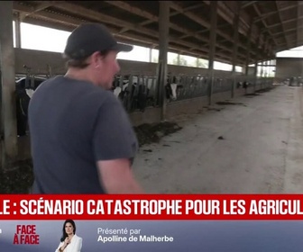 Replay BFM Première - La perte de lait a été énorme: à cause de la canicule, vers un scénario catastrophe pour les agriculteurs