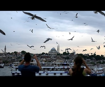 Replay une mouette réanimée par le capitaine d'Istanbul après un choc avec le ballon