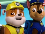 Replay Paw Patrol, la Pat'Patrouille - La disparition de la limande