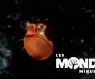 Replay Les Mondes Minuscules - 25/01/2025