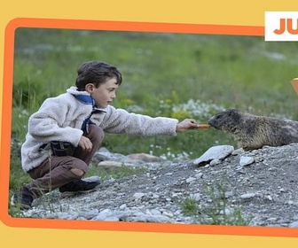 Replay Ne touchons pas aux marmottes ! - ARTE Journal Junior de vendredi