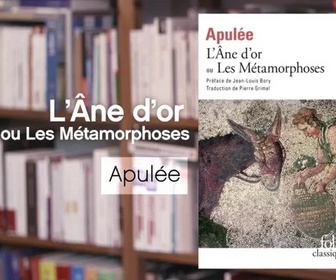 Replay La p'tite librairie - L'Ane d'or ou les Métamorphoses - Apulée