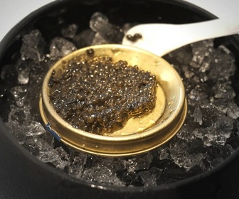 Replay Grands Reportages - Reportages découverte - Gastronomie de fête : la nouvelle donne