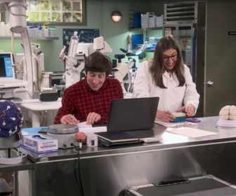 Replay The Big Bang Theory - S11E5 - Une collaboration houleuse