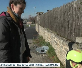 Replay Un jour, un doc - Ne dîtes surtout pas qu'ils sont radins... mais malins !
