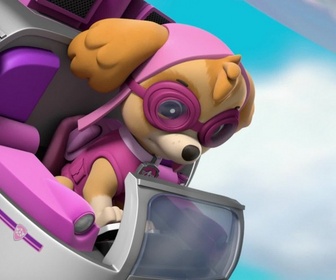 Replay Paw Patrol, la Pat'Patrouille - Le spectacle des chats