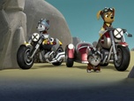 Replay Paw Patrol, la Pat'Patrouille - La Moto Patrouille : Le sauvetage des chatons
