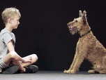 Replay Les secrets d'une amitié - Des chiens et des hommes