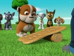 Replay Paw Patrol, la Pat'Patrouille - L'ascension d'El Grande