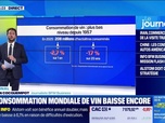 Replay Good Morning Business - La consommation mondiale de vin baisse encore
