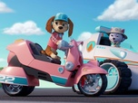 Replay Paw Patrol, la Pat'Patrouille - Sur la route avec Stella : Le Parc de l'Os dOr