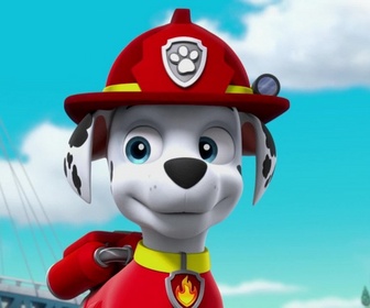 Replay Paw Patrol, la Pat'Patrouille - Des bébêtes en vadrouille