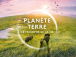 Replay Planète Terre - 13/04/2026