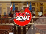 Replay 100% Sénat - Que disent les français de leurs services publics ?