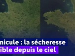 Replay On a de l'info - Canicule : la sécheresse visible depuis le ciel