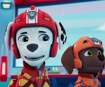 Replay Paw Patrol, la Pat'Patrouille - La Pat' Patrouille des Airs : Une cascade trop extrême