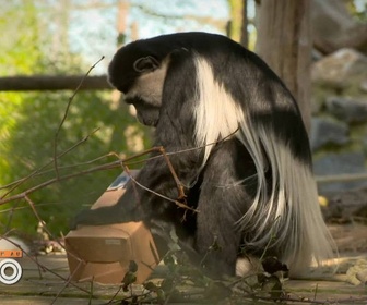 Replay Une saison au zoo - S13 E10