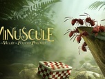 Replay Minuscule : la vallée des fourmis perdues